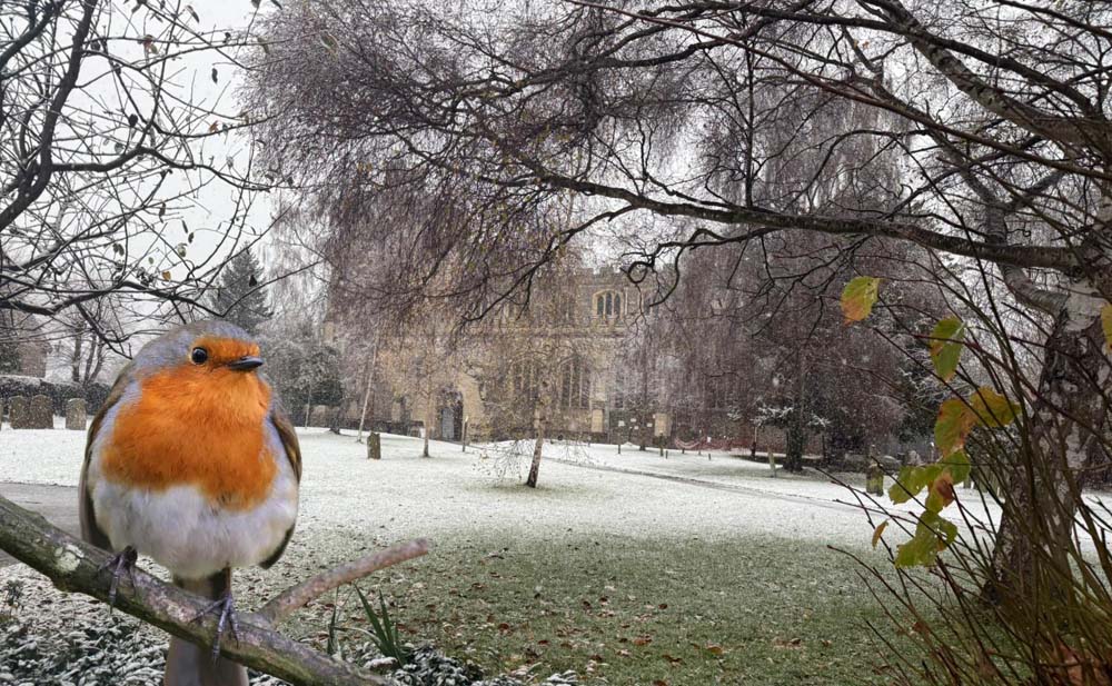 church-and-robin